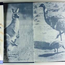 Book - Bryce Kinnear, 'The Land of the Southern Cross, Australia', Australian Publicity Council, 1956