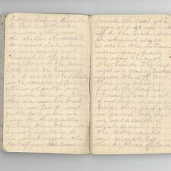 Inside pages of hand-written diary.