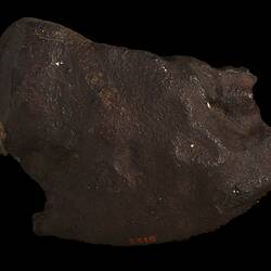 Gilgoin Meteorite. [E 12422]