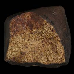 Tenham Meteorite. [E 4790]
