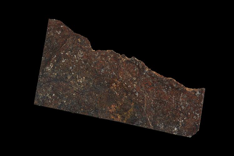 Morton Meteorite. [E 11419]