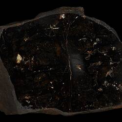 Huckitta Meteorite. [E 12303]