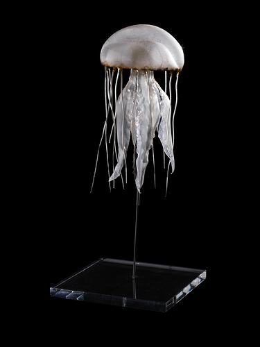 Glass jellyfish model.
