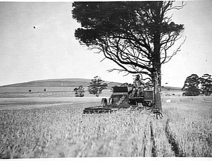 Photograph H.V. McKay Pty Ltd, Farm Equipment Manufacture & Field