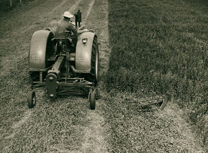 Man driving at tractor coupled to a mower in a field of lucerne.