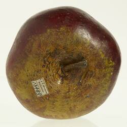Dark red apple model with brown around stem. Top view with stem and label.