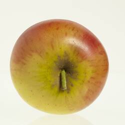 Red and yellow apple model. View of stem from top.