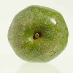 Wax model of an apple painted green. Has short stem. Top view.