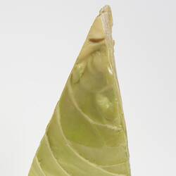 Wax model of pale green triangular section of cabbage leaf.