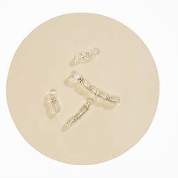 Light brown disc with clear glass capsule-shaped pieces on top.