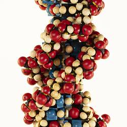 Model - DNA Molecule, Griffin & George Ltd, Motorised, 1965