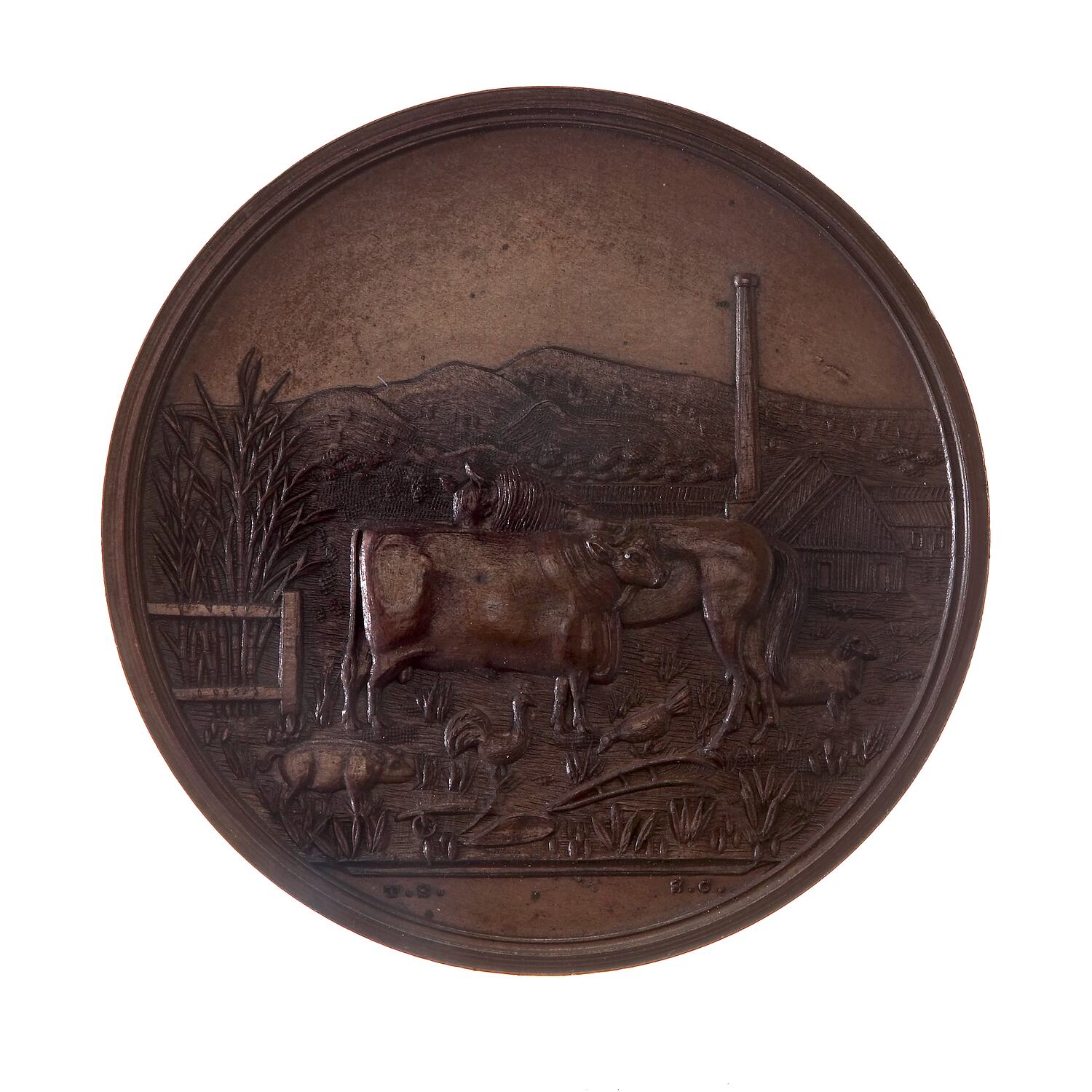 Medal Mackay Agricultural Pastoral & Mining Association Prize