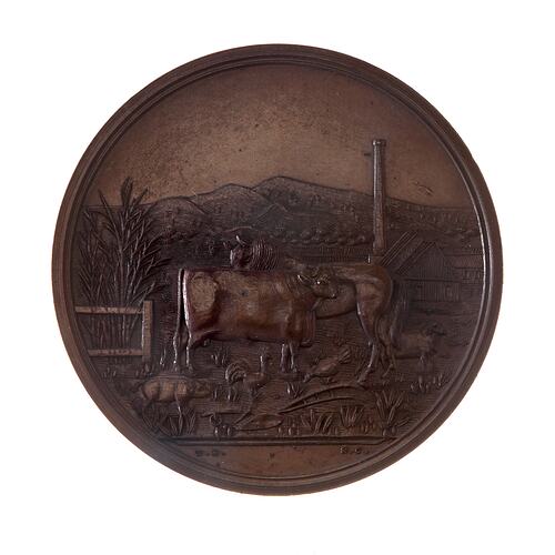 Medal - Mackay Agricultural Pastoral & Mining Association Prize, c. 1880