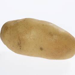 Model of light brown potato.