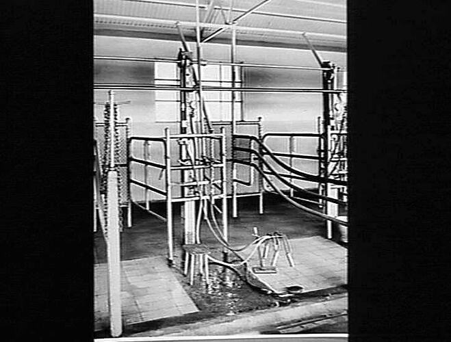 9 UNIT SUNSHINE MILKER PLANT INSTALLED BY B.H.P. IN THEIR MODEL MILKING SHED AT WHYALLA, S. AUST. PLANT CAPABLE OF MILKING 90 COWS PER HOUR (SEE B.H.P. REVIEW: MARCH 1946)