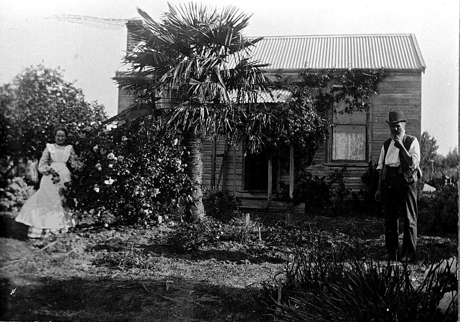 Negative Linton District (?), Victoria, circa 1890