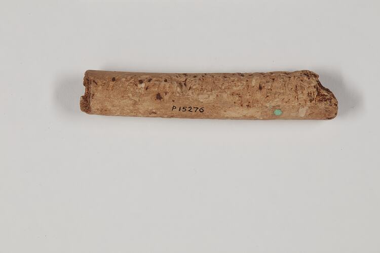 Brown, cylindrical fossil bone fragment.