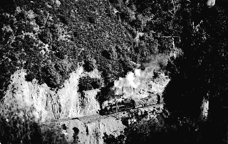 Aerial view of Walhalla train on a hillside track, 1906.