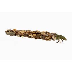 Model of green insect encased in a long shell made of debris.