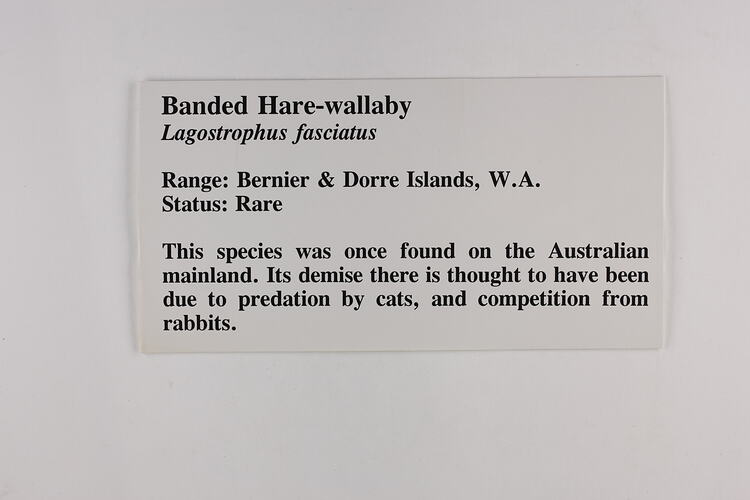 Rectangular white label with black text.