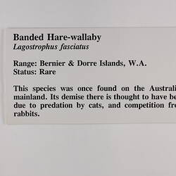 Rectangular white label with black text.
