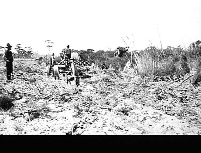 12 DISC `SUNGENERAL' PULLED BY JOHN DEERE TRACTOR IN VIRGIN SCRUB ON MR. F. H. BELL'S FARM, MOLLERIN, W.A. AUG 1930. NO NEGATIVES.