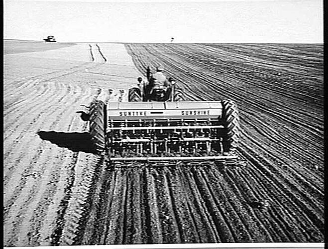 MR. J.W. ANDERSON OF HOPETOUN IN THE VICTORIAN MALLEE, SOWING WHEAT WITH HIS 16-ROW 500 SERIES `SUNTYNE' CULTIVATING DRILL AND SUNSHINE MASSEY HARRIS 745 DIESEL TRACTOR: JUNE 1955
