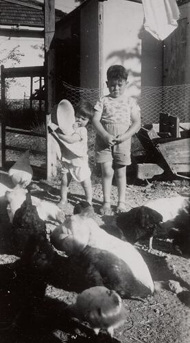 Digital Photograph - Boy & Girl Feeding Hens, Backyard, Ringwood East, circa 1956