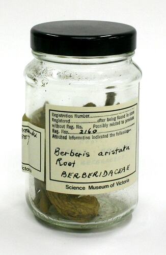 Glass jar containing a plant sample with handwritten text label.