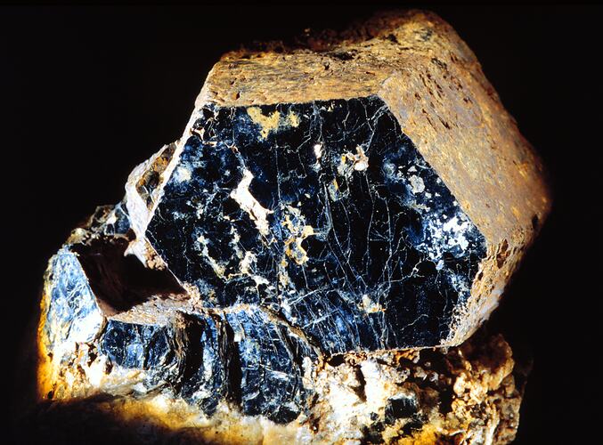 Biotite. [M 39773]
