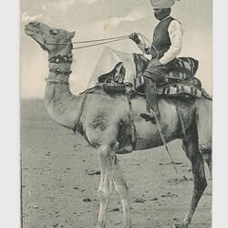 Postcard - Afghan Camel Rider, 1900-1920