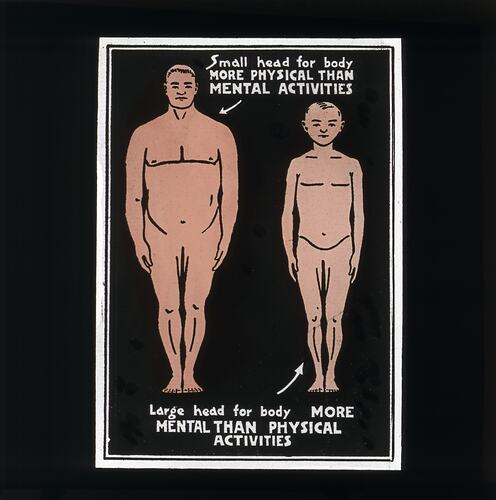 Phrenology lantern slide depicting a comparison of two male bodies, particular focus on head-size.