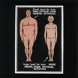 Phrenology lantern slide depicting a comparison of two male bodies, particular focus on head-size.