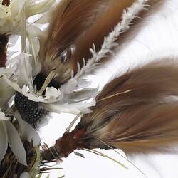 Bird of Paradise Headdress, detail of feathers