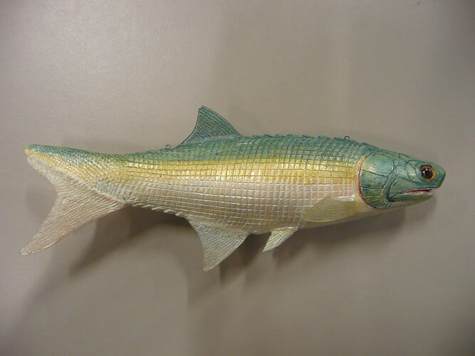 Model of extinct fish.