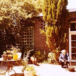 Photograph - 'The Residency', Royal Exhibition Building, Melbourne, 1982