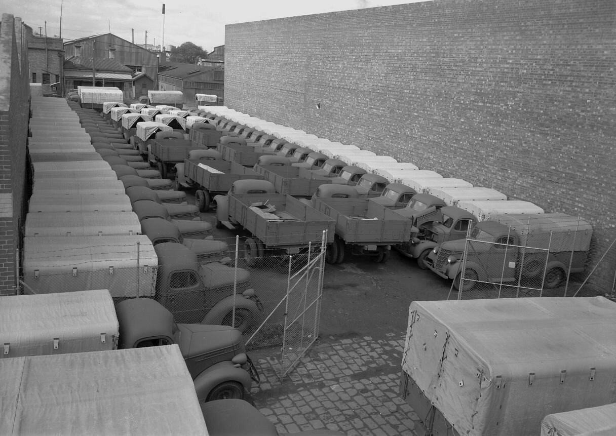 Negative International Harvester, Parking Lot, D Line Trucks for