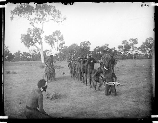 Warumungu ceremony, Tennant Creek, Central Australia, 1901.