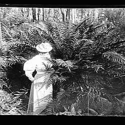 Glass Negative - Woman Amongst Ferns, by A.J. Campbell, Upper Yarra, Victoria, circa 1900