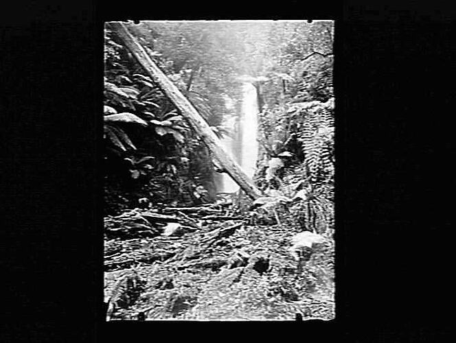 Negative - Glass