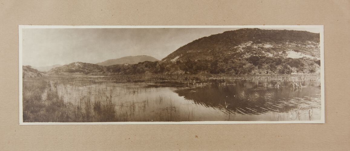 Mounted Photograph - Swamp Land, Wilsons Promontory, Victoria, circa 1910