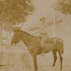 Photograph - Soldier on Horseback, Egypt, World War I, 1915-1916