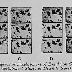 Emulsion Grain Development, History of Photography & Emulsion Making, circa 1950s