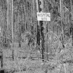 Negative, Gove, Northern Territory, Australia, 1965