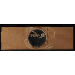 Underside of wooden microslide containing bryozoan specimen,