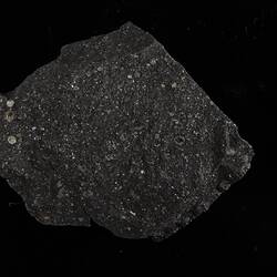 Murchison Meteorite. [E 18840]