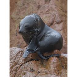 Fur seal on rock, rubbing its face with rear limb.