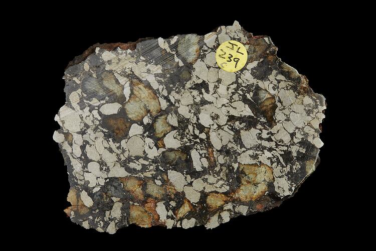 Bencubbin Meteorite. [E 18897]