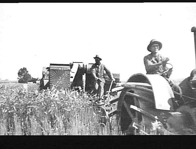 SUNSHINE HEADER WORKING IN WHEAT IN N. Z.: MARCH 1928