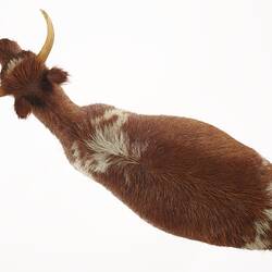 Model of brown and white cow. Top view.